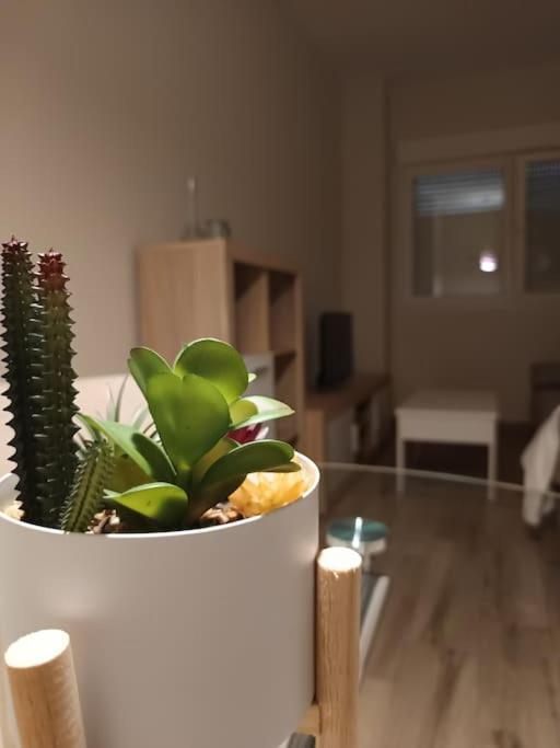 Ferienwohnung La Morada Salamanca Exterior foto